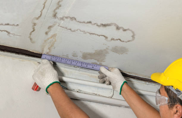 Reliable Mold Remediation contractor in Warsaw, NC by Water Damage Irwin
